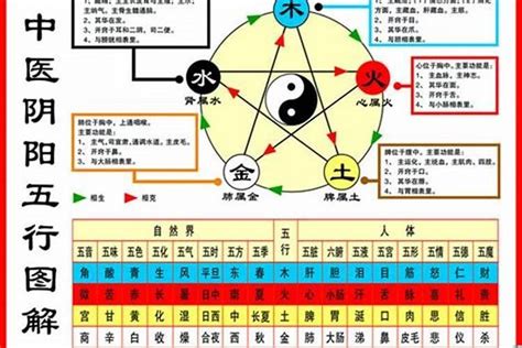 84年屬鼠|1984年属鼠的是什么命，84年出生的鼠五行属什么